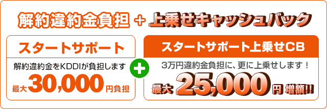 auひかりキャンペーン